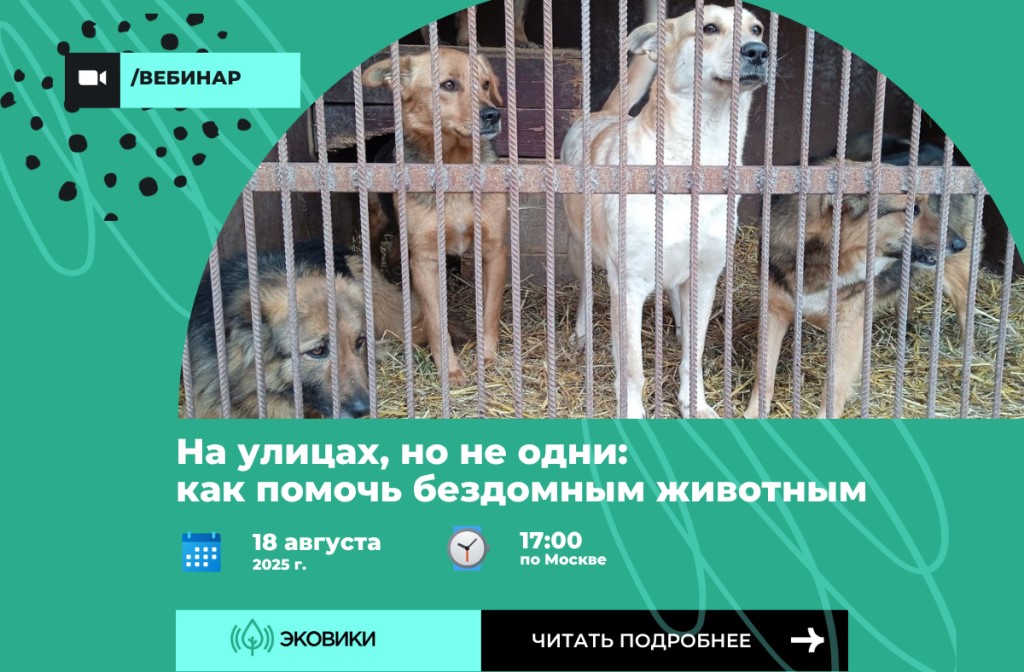 dogs.jpg image11.jpg