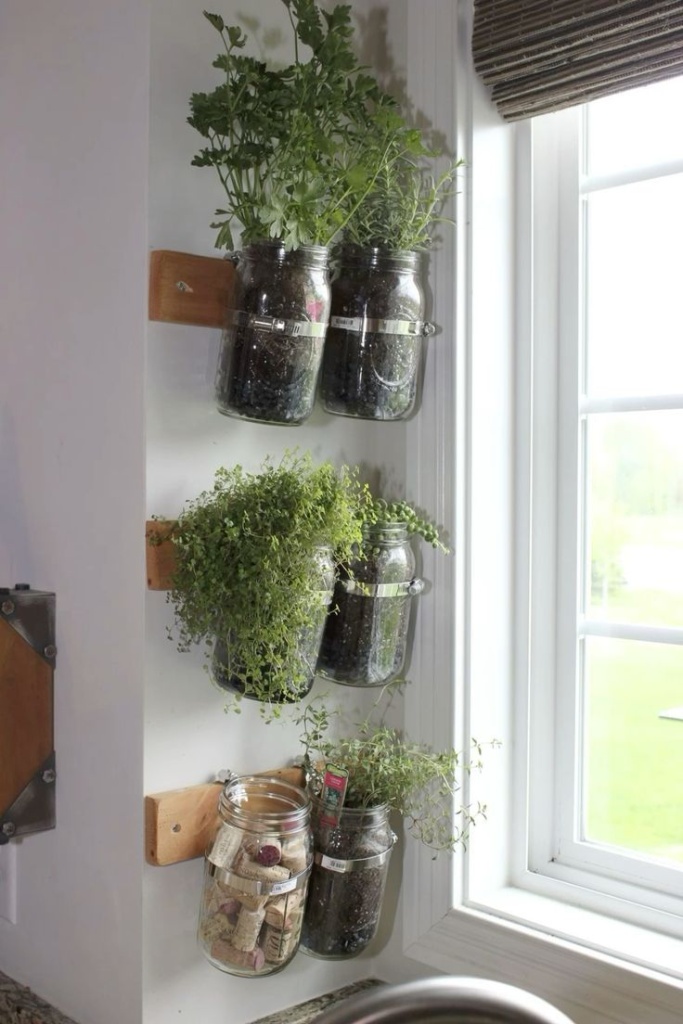 Идея как организовать дома проращивание зелени