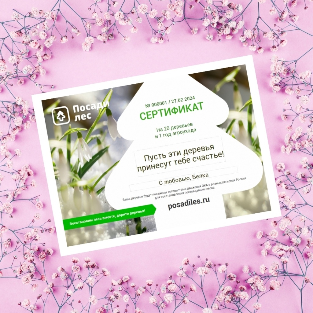 Посади Лес-2026.2