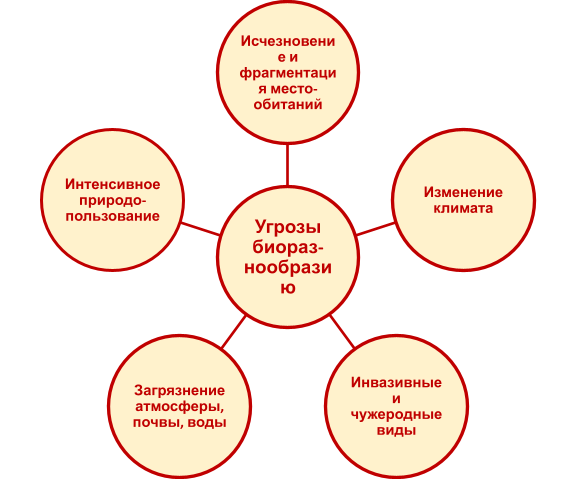 image1.png