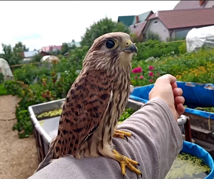 photo_2026-01-16_14-19-14.jpg photo_2026-01-16_14-19-14.jpg