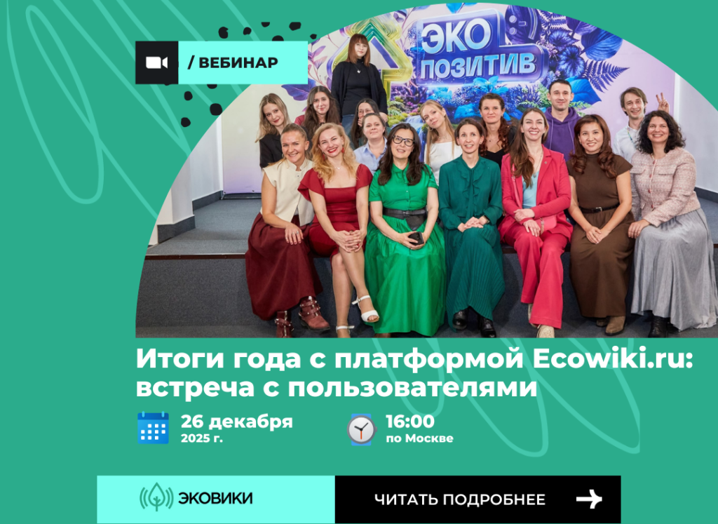 ecowiki.png горизонт вебинары (1080 x 788 пикс.) (2).png