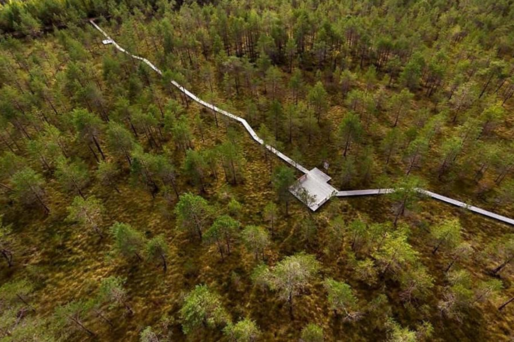 Участок экотропы «Вишенское болото»