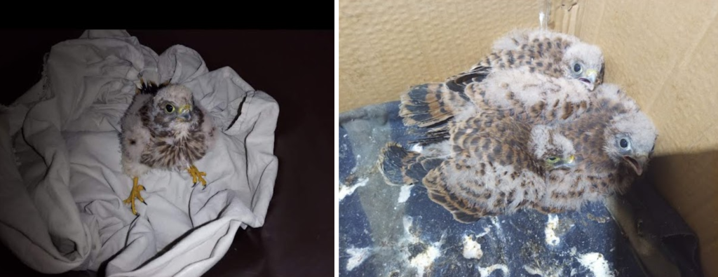 026-01-29 173152.png 026-01-29 173152.png