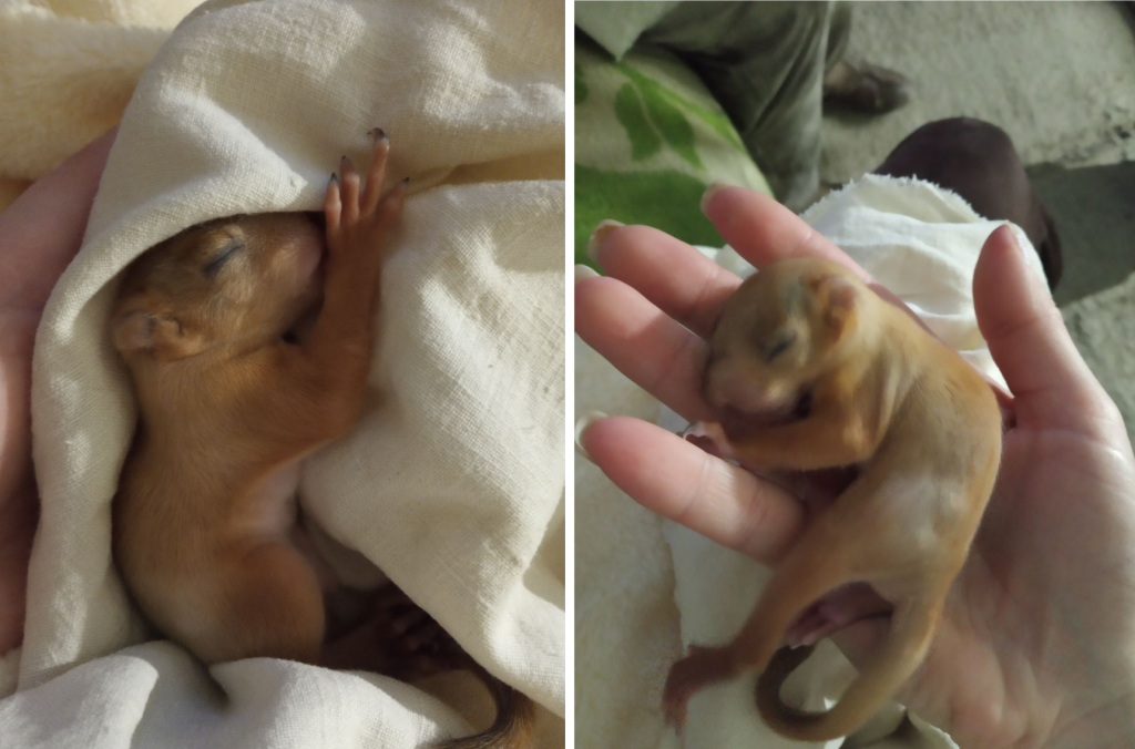 026-01-26 185327.png