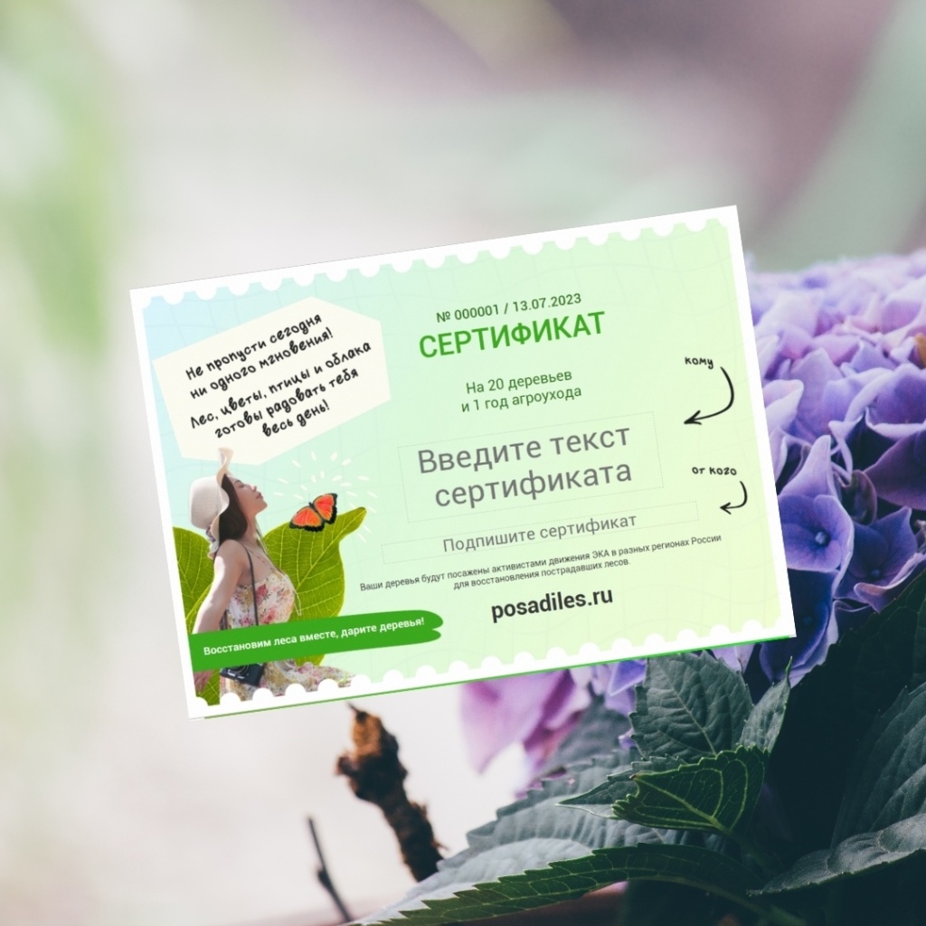 Посади Лес-2026
