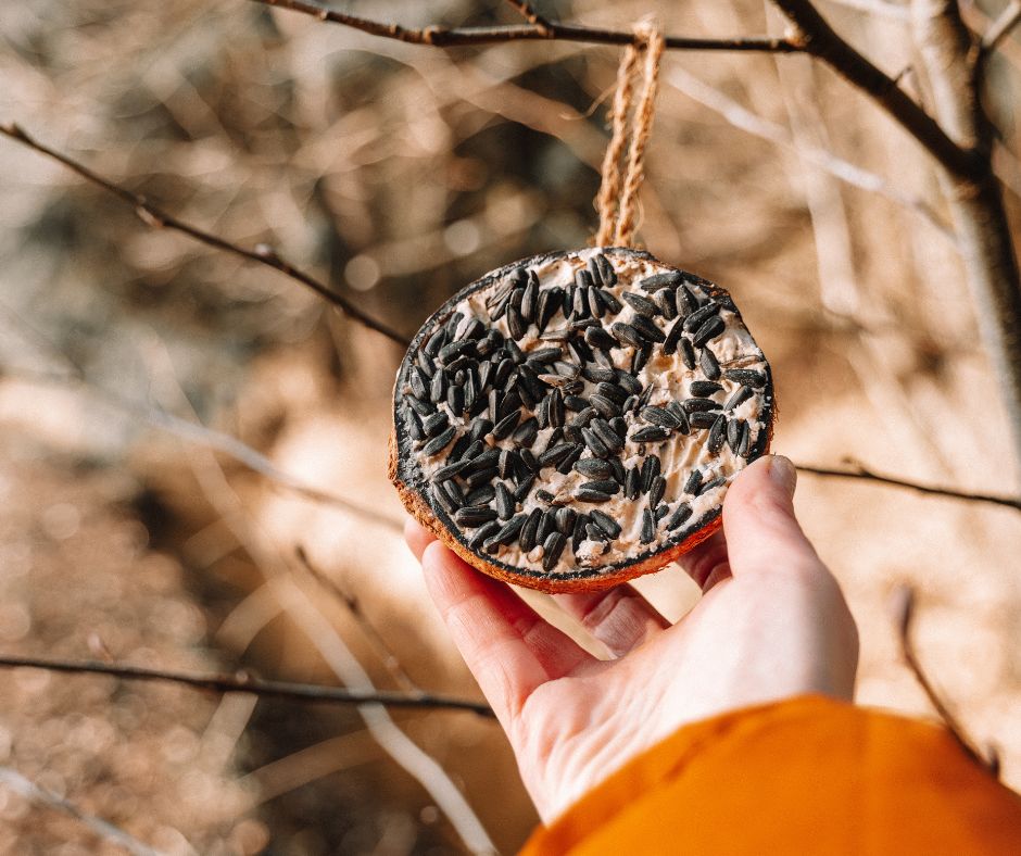 Дизайн без названия.jpg