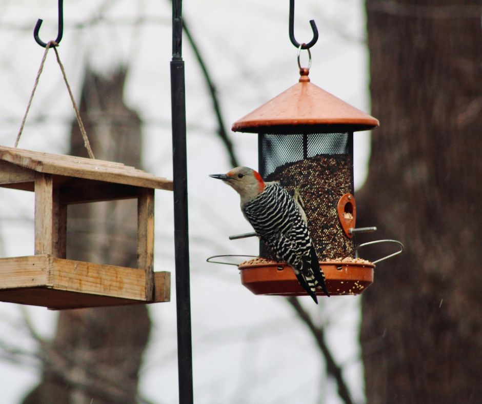 Дизайн без названия (4).jpg