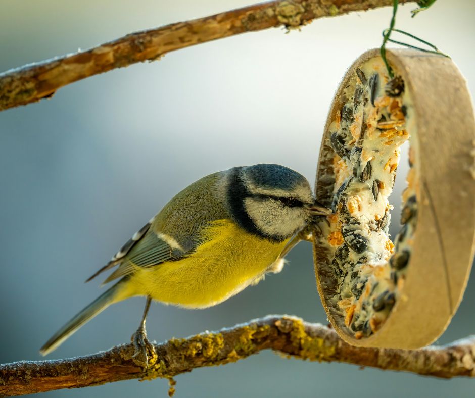 Дизайн без названия (1).jpg
