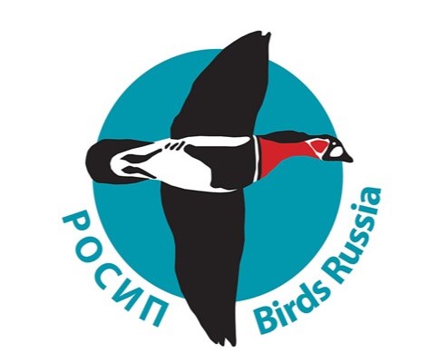 лого РОСИП.jpg