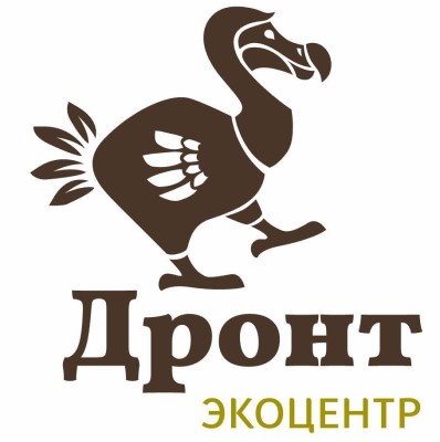 лого Дронт.jpg