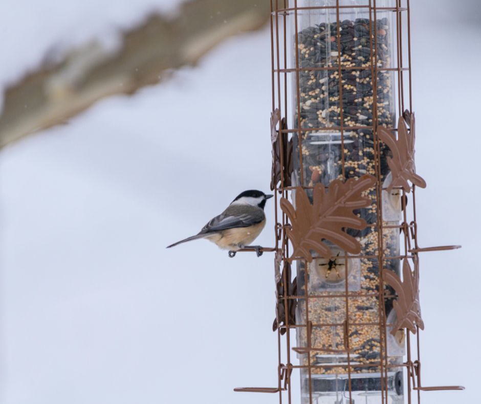 Дизайн без названия (5).jpg