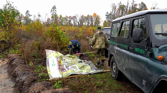Посадки 1