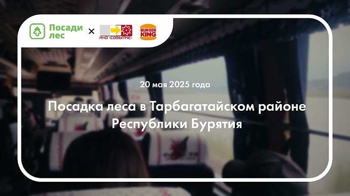 Посадки 2