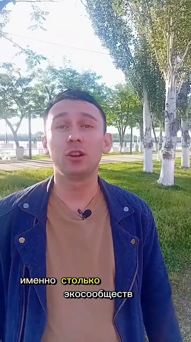 1_Влад Иванов_Эковики