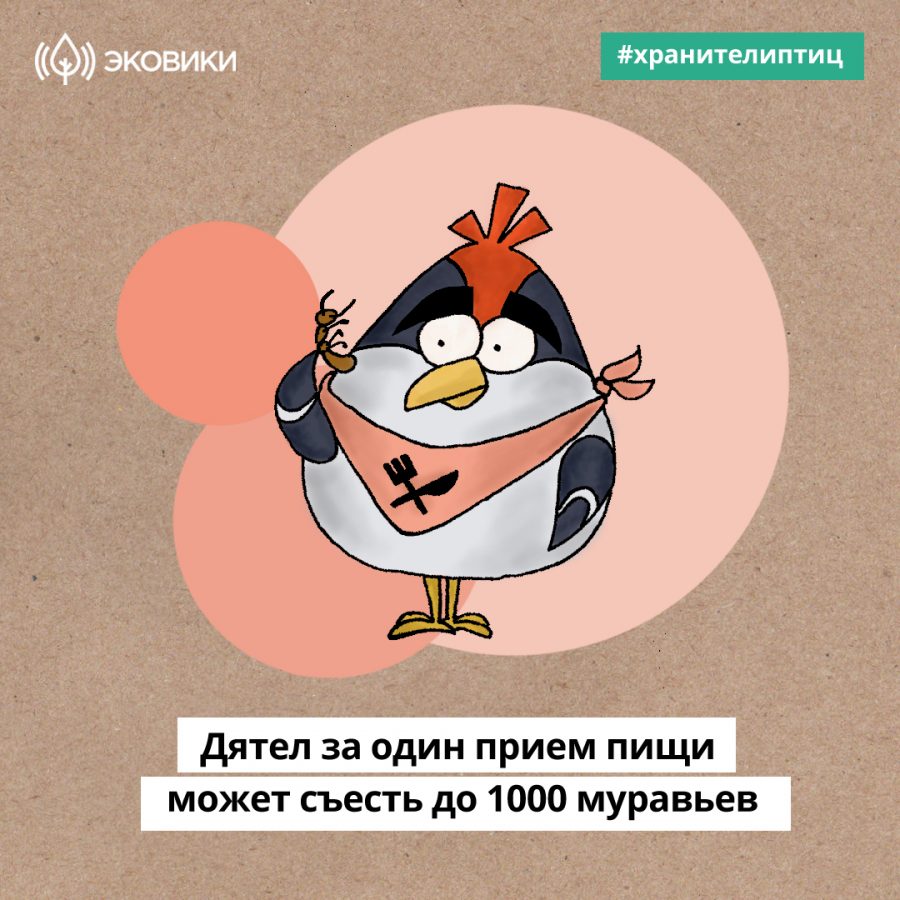 https://ecowiki.ru/wp-content/uploads/2019/01/3-10-e1577786091728.jpg