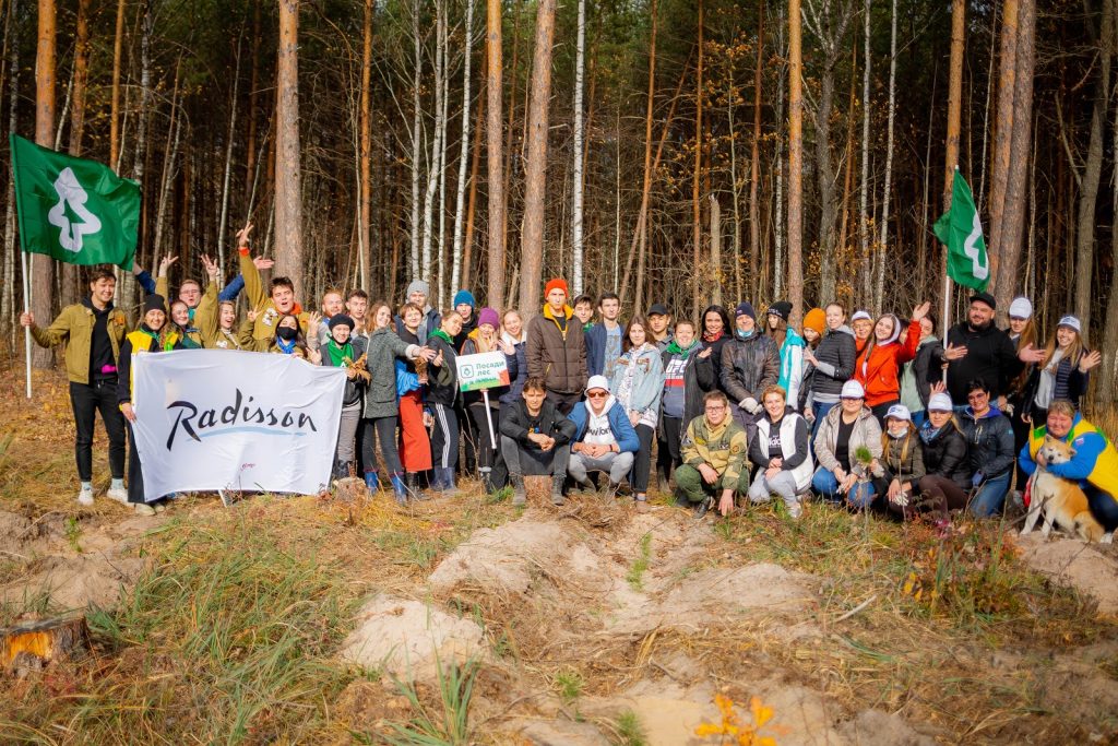 Сила леса. Эковолонтерство. Экологическое волонтерство в вузах. Экоуроки в лесу. Экологическое волонтерство тренд.